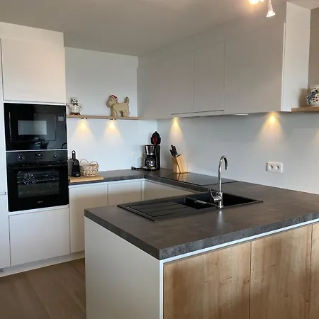 Apartment In With Balcony Nieuwpoort