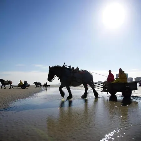 In By Sandy Beaches Nieuwpoort