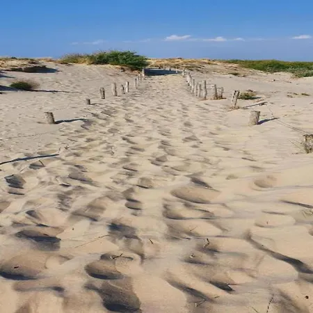 In By Sandy Beaches * Nieuwpoort