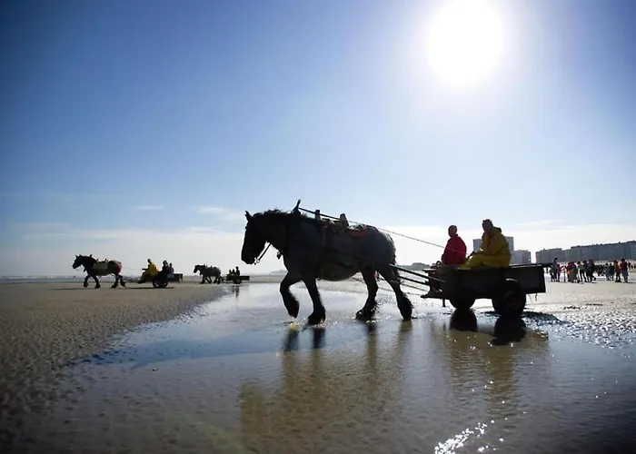 In By Sandy Beaches Nieuwpoort